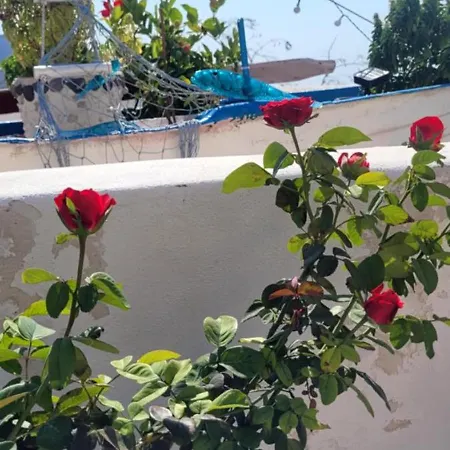 Rosalia Megalochori Lejlighed