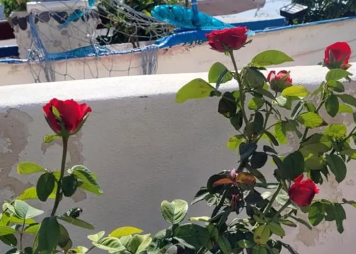 Rosalia Megalochori 公寓